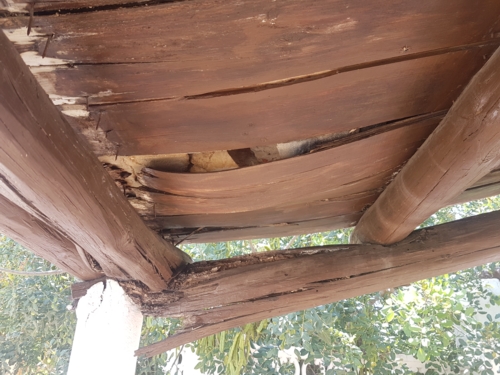 madeira infestada num telhado