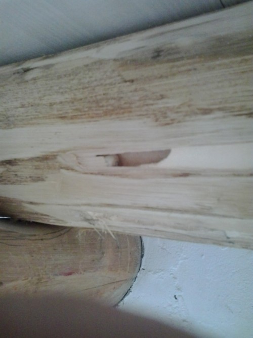 holzschutz algarve alentejo