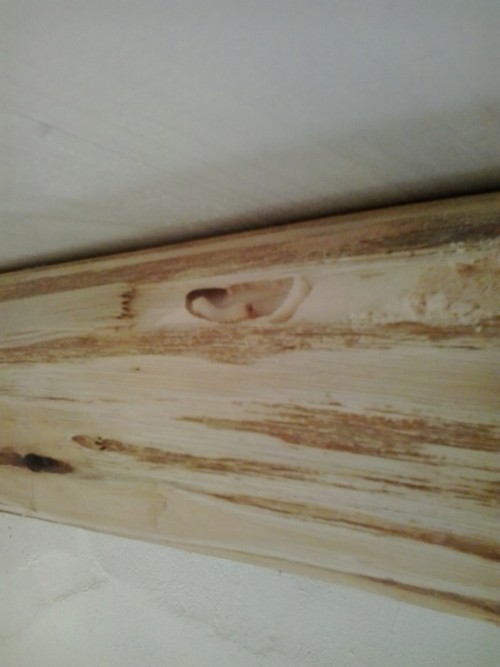 holzschutz algarve alentejo