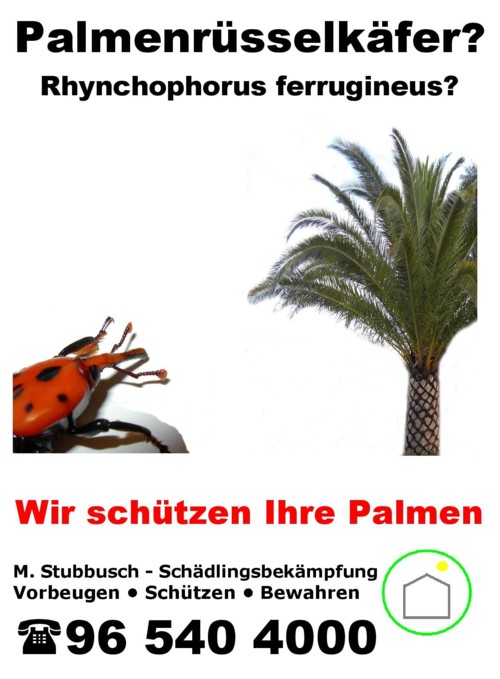 palmenschutz algarve