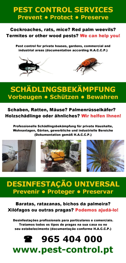 promoção de servicos de desinfestação algarve