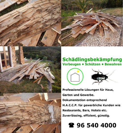 holzschutz behandlung algarve