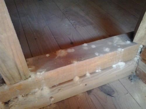 befallener Dachstuhl