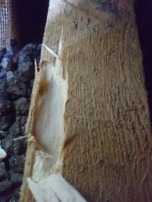befallene Holzelemente Algarve