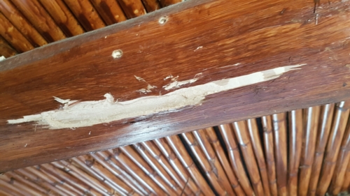 befallener Dachstuhl