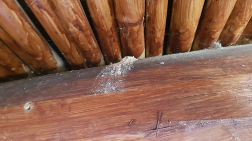 befallener Dachstuhl