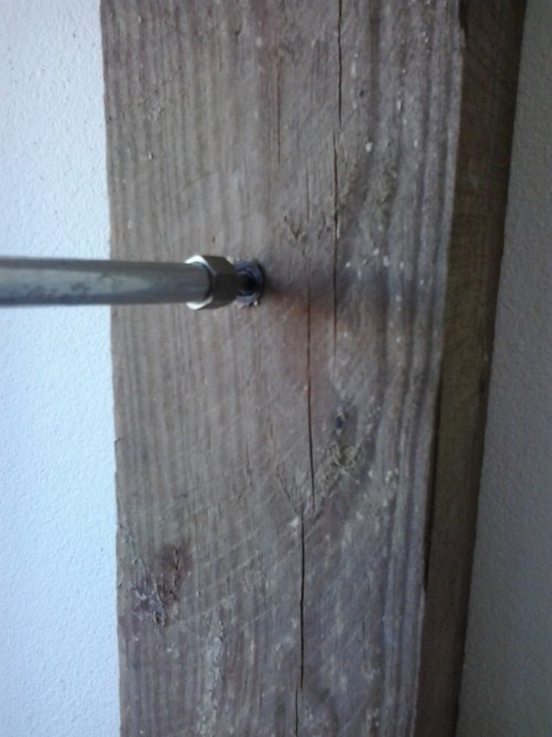 holzschädlinge bekämpfen algarve