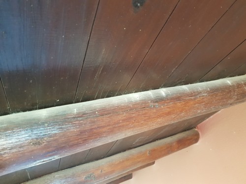 wood treatments agains weevils algarve alentejo