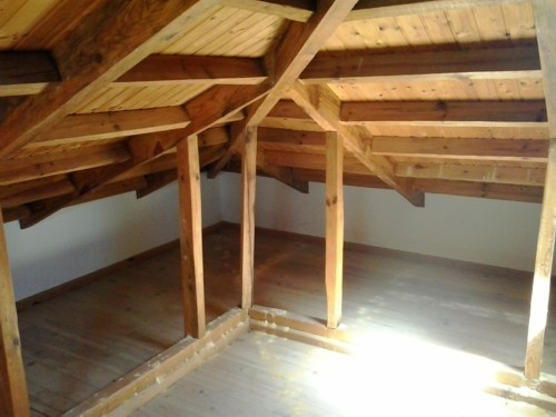 infested roof