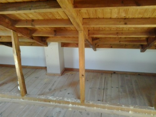 infested roof