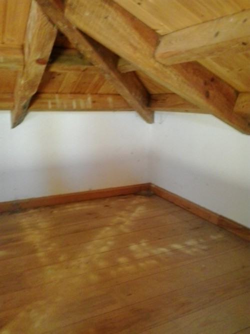 infested roof wood algarve