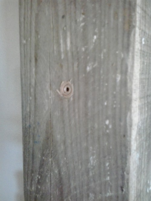 special wood treatment algarve phase three