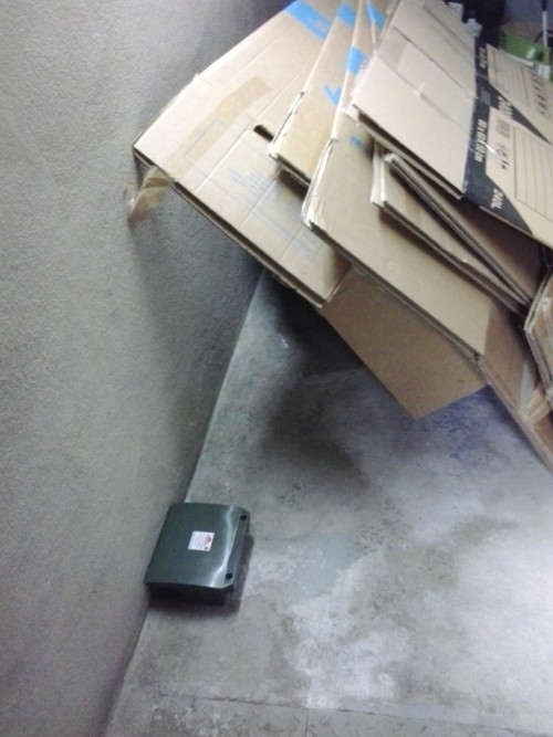 rat poison box portugal