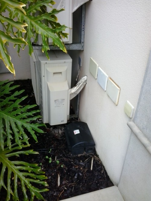 rodent poison box algarve portugal