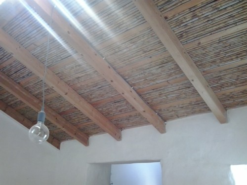 infested roof treatment wood pest
