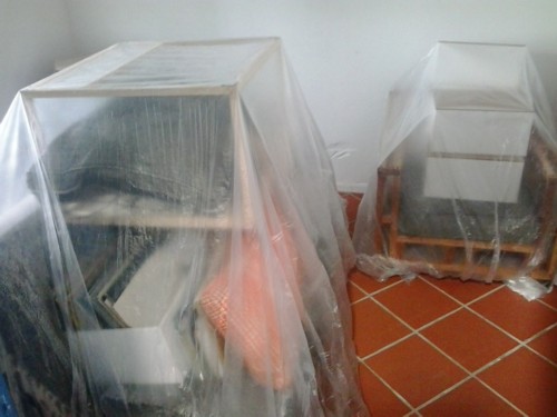 prepaired house for surface treatment against wood pests