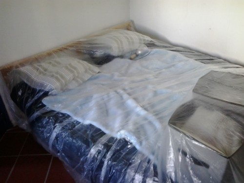 wood treatment algarve