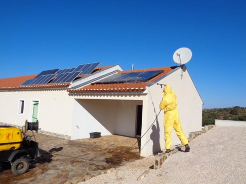 protection against wasps alentejo