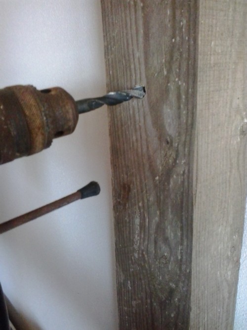 tratamento por injecção contra pragas na madeira