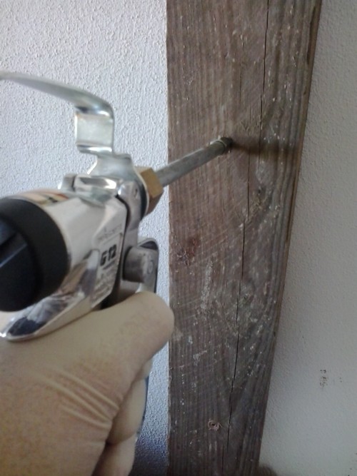 protecção de madeira por injecção de insecticida