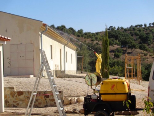 prevenção de vespas no algarve