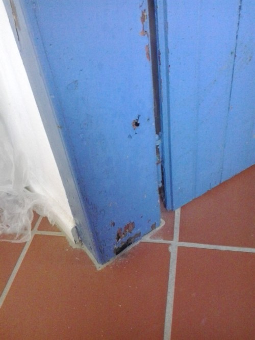 madeira aro porta infestada